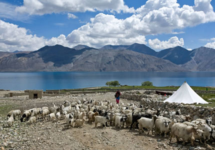 11-Days Leh-Ladakh Scenic Trip from Chandigarh