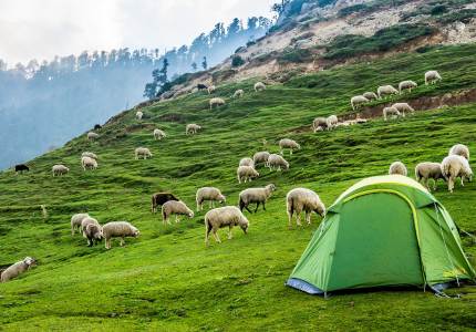 Dharamshala Escape from Chandigarh