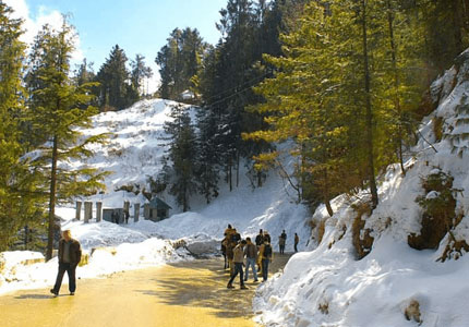Chandigarh Shimla Manali Tour