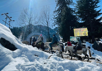 Manali Cabs