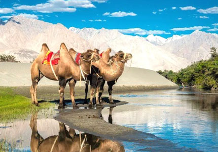 11-Days Leh-Ladakh Scenic Trip from Chandigarh