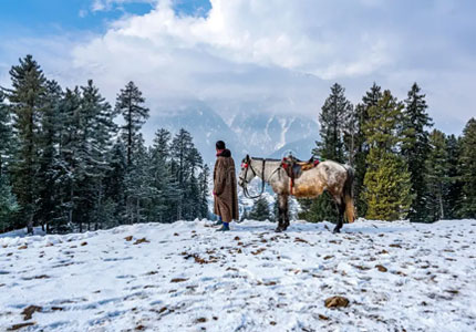 Chandigarh to Srinagar via Amritsar & Jammu – 8 Days
