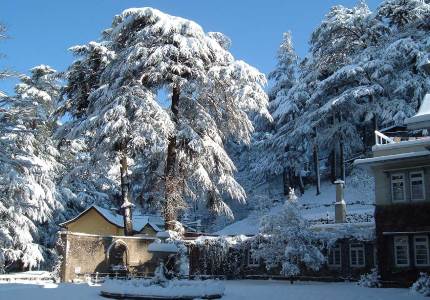 Shimla Cabs