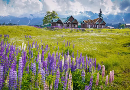 9 Days Jammu Srinagar Gulmarg Sonmarg Pahalgam Tour