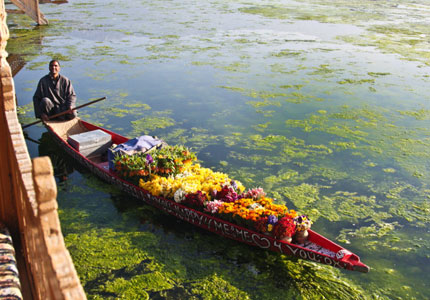 Srinagar Cabs